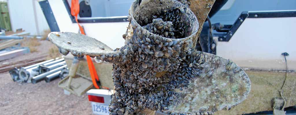 a propeller covered in invasive quagga mussels