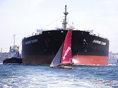 A racing sailboat just barely clears the bow of a 700 foot long freighter ship.