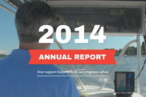 2014 Annual Report Thumbnail