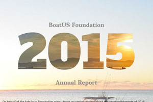 2015 Annual Report Thumbnail