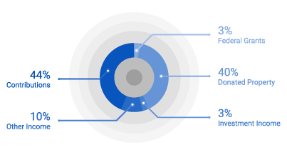 income and revenue pie chart