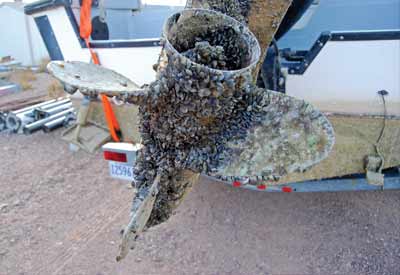 a propeller covered in zebra mussels