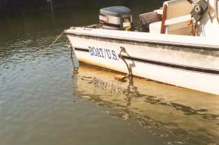 A fixed ladder located on the starboard side of a center console day boat.