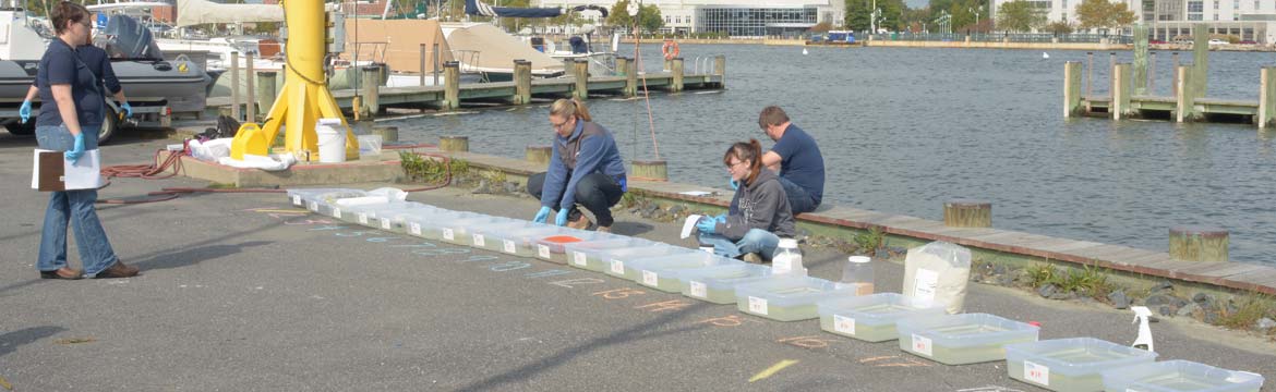 the boat US foundation team tests various products in plastic tubs