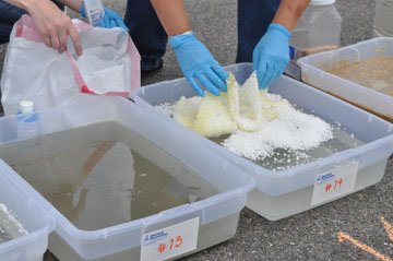 someone lifting an absorbant pad out of oily water