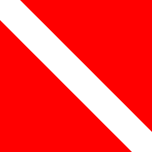 a red and white diver down flag