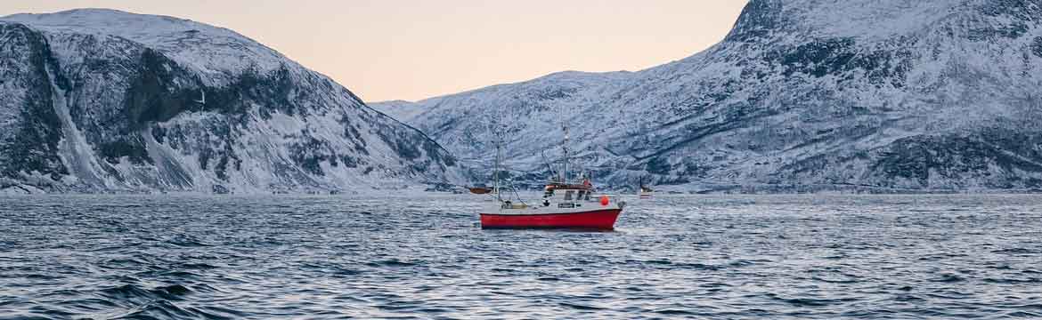 a boat in icy water